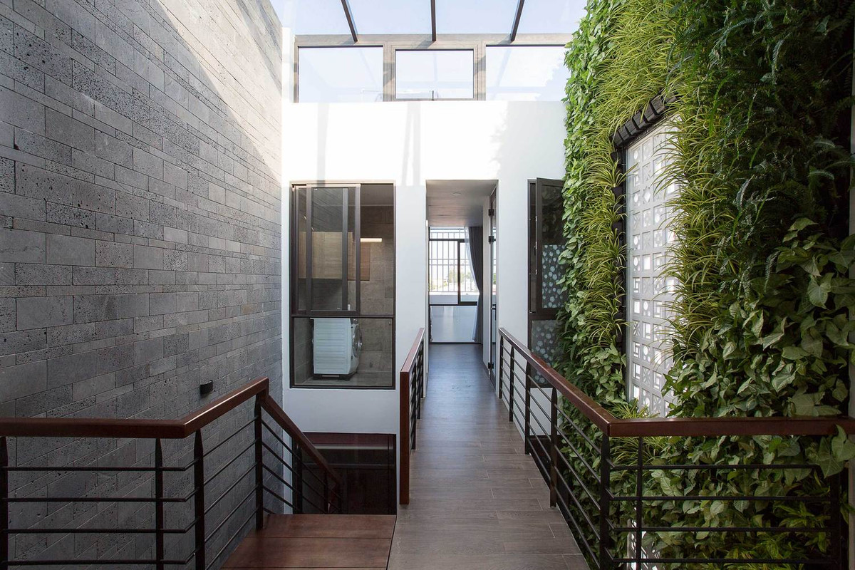 Việc sử dụng kính trên mái và mở nhiều cửa sổ là giải pháp giúp tất cả không gian được tận hưởng màu xanh từ giếng trời và vườn đứng.