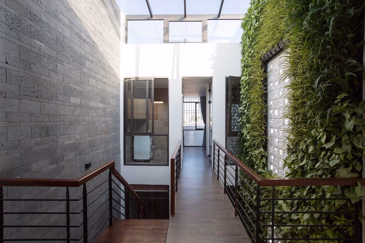 Việc sử dụng kính trên mái và mở nhiều cửa sổ là giải pháp giúp tất cả không gian được tận hưởng màu xanh từ giếng trời và vườn đứng.