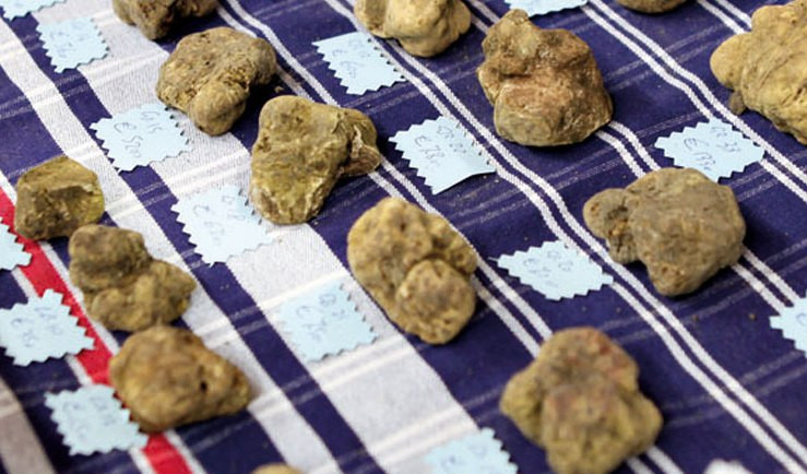 Thậm chí, nấm cục trắng còn được ví như "kim cường" của mọi loại thực phẩm. Ảnh: Europe.