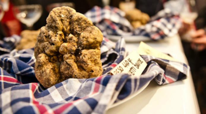 Lý giải về sự đắt đỏ của khối nấm cục này, người phát ngôn của sự kiện đấu giá cho biết, nấm cục có khối lượng lớn rất hiếm nên giá trị của nó càng cao. Ảnh: Fine Dining Lovers.