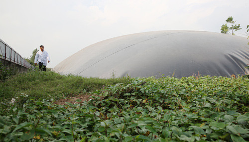 Tại “chung cư” lợn, có khu nhà sản xuất thức ăn riêng luôn đảm bảo chất lượng tốt đảm bảo cung cấp đủ thức ăn và dinh dưỡng cho đàn lợn tại trang trại.