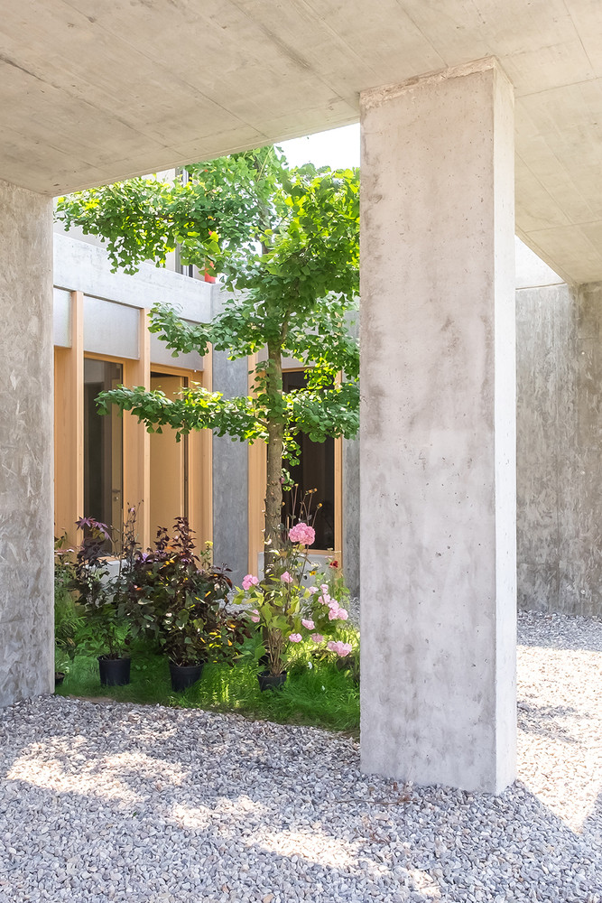 3 khối nhà đặt so le và liên kết với nhau bởi một cây lớn ôm trọn toàn bộ công trình.