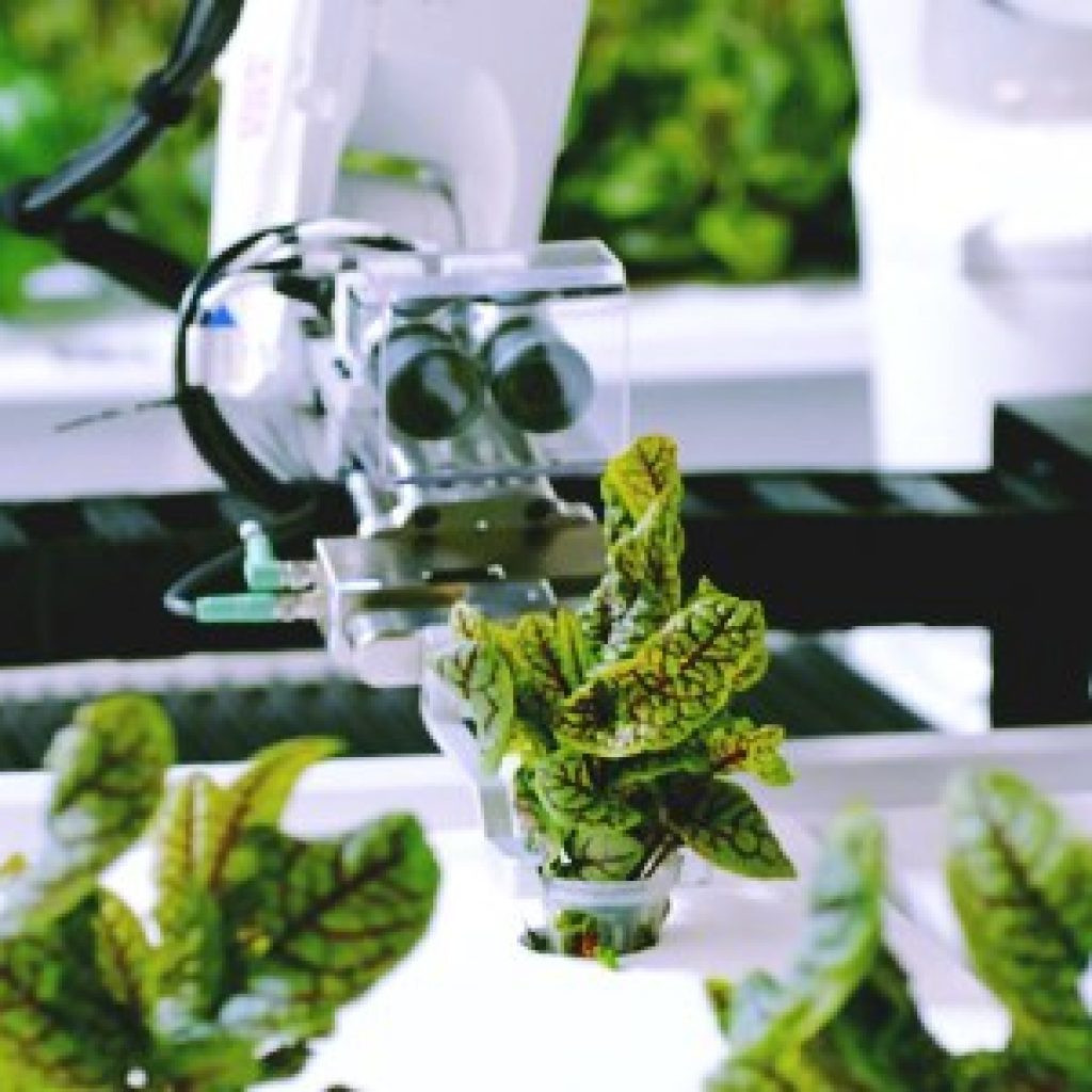 Sau đó, đám mây truyền lệnh cho robot thực hiện các thao tác. Ảnh: Axios.