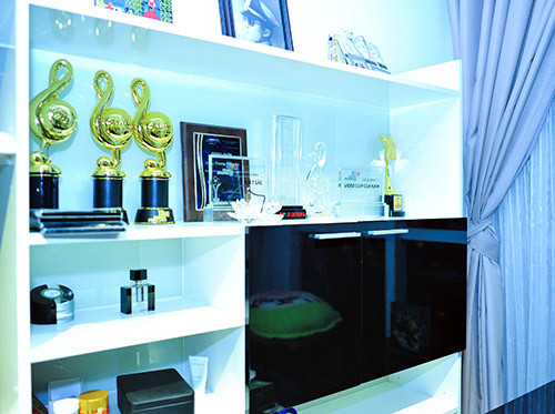 Một số góc nhỏ trong nhà là nơi trưng bày các giải thưởng âm nhạc của nam ca sĩ. Ảnh: Khám phá.