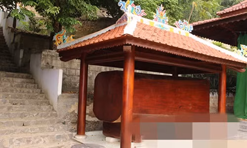 Khối gỗ "khủng" để ở góc vườn. Ảnh: ConganTPHCM.