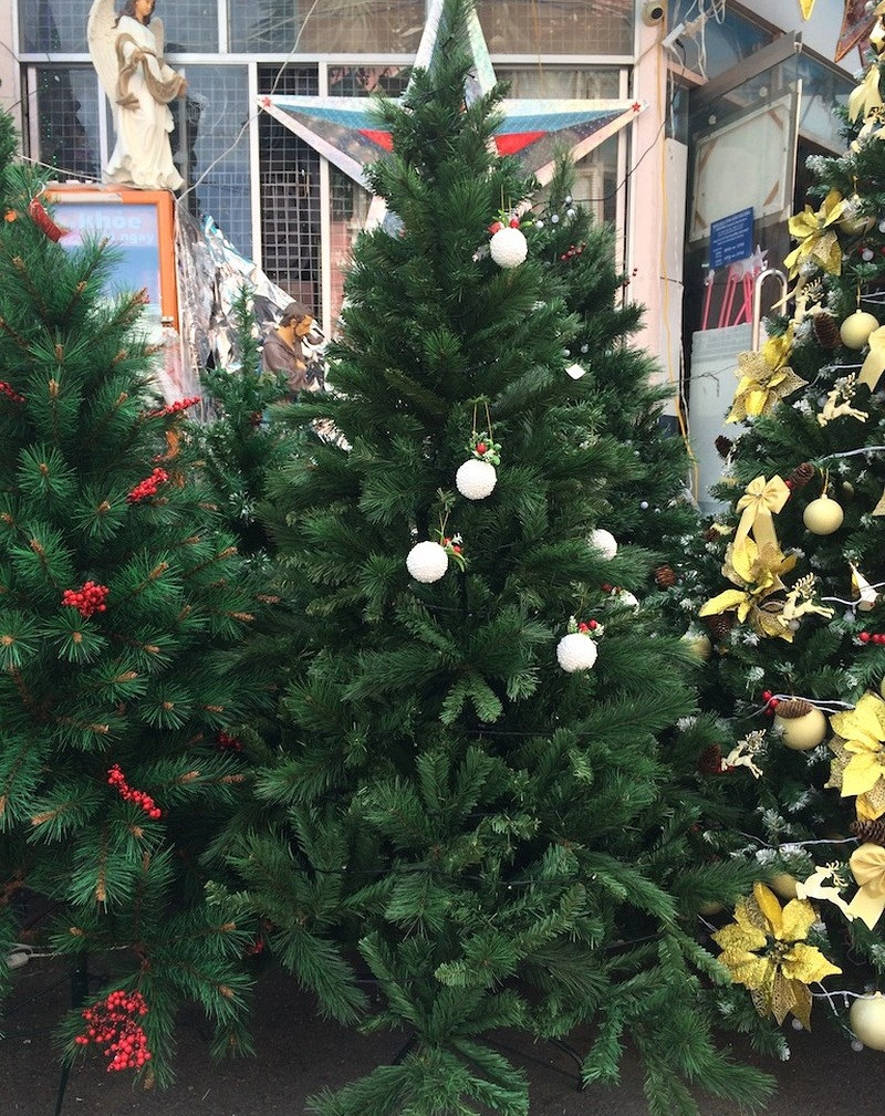 Cây thông nhập khẩu cao từ 1,8 - 2,4 mét, giá bán dao động từ 1,4 – 2,5 triệu đồng/cây. Ảnh: Infonet.