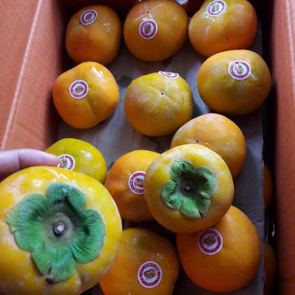 Tại Hàn Quốc, hồng giòn được trồng trong điều kiện khí hậu, thổ nhưỡng thuận lợi và quy trình nghiêm ngặt, các trái có kích cỡ và màu sắc đồng đều. Ảnh: FB Ngo Khanh.