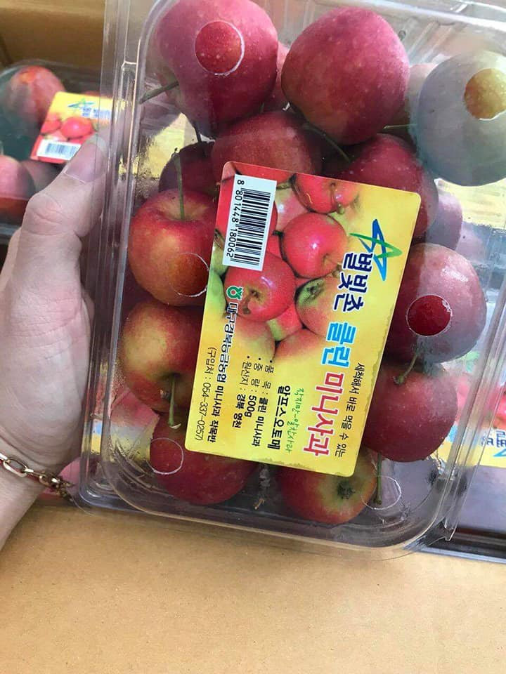 Táo được đóng thành hộp 500g (khoảng 12 - 18 quả). Ảnh: FB Trần Quyên.