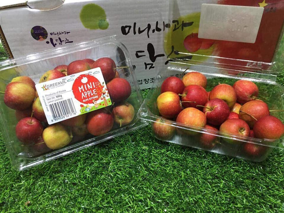 Can canh tao mini Han Quoc nua trieu dong/kg hut khach Viet