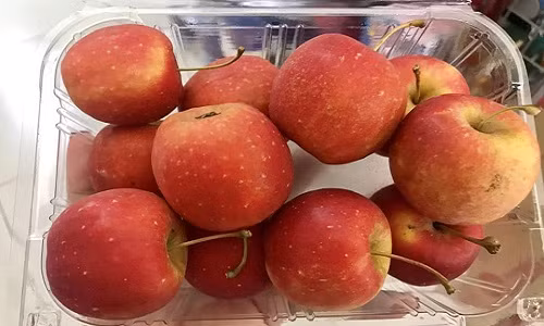 Những trái táo bé xíu và khá đều nhau. Ảnh: FB Thi Le.