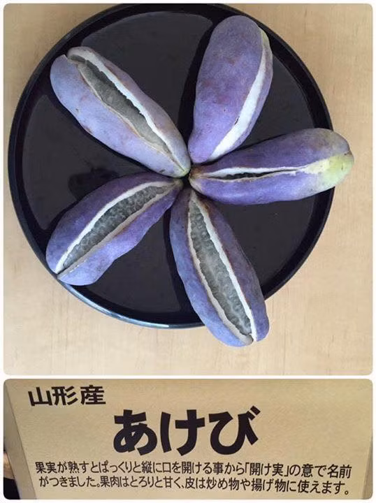 Ruột Akebi giống ruột của trái chanh dây nhưng khi ăn phải bỏ hạt. Ảnh: FB Quỳnh Thy.