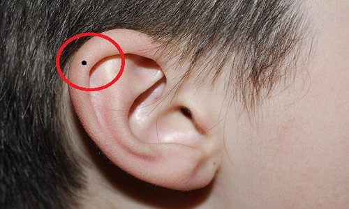 Dac diem cua nguoi ca doi may man an nhan-Hinh-2