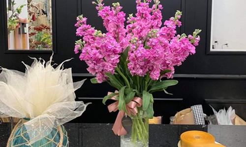 Đặc biệt, hoa phi yến nhập khẩu có thể chơi bền đến hơn 1 tuần. Ảnh: Hoa Ưu đàm.