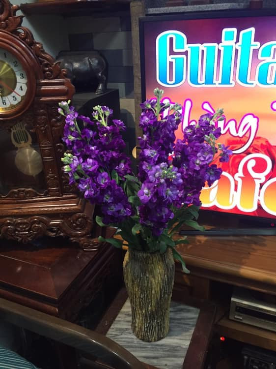 Hoa phi yến được các chủ cửa hàng rao bán từ 115.000 - 300.000 đồng/bó. Ảnh: FB Lê Hoàng Yến.