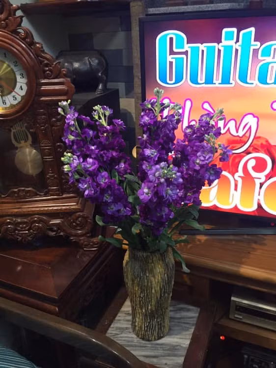 Hoa phi yến được các chủ cửa hàng rao bán từ 115.000 - 300.000 đồng/bó. Ảnh: FB Lê Hoàng Yến.