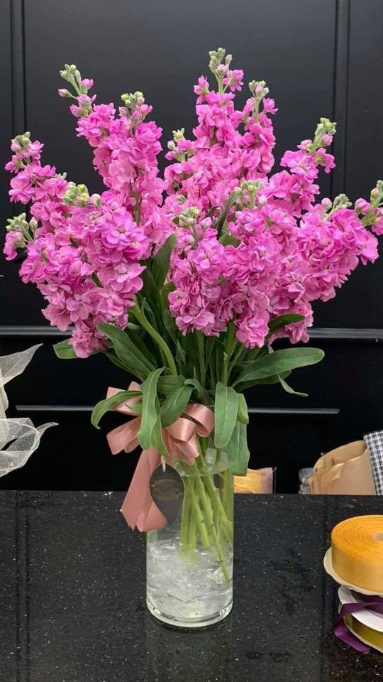 Phi yến là loại hoa cuống dài, thanh mảnh, phơn phớt hồng, tím, vàng hoặc trắng. Ảnh: Fb Phung Minh Hien.