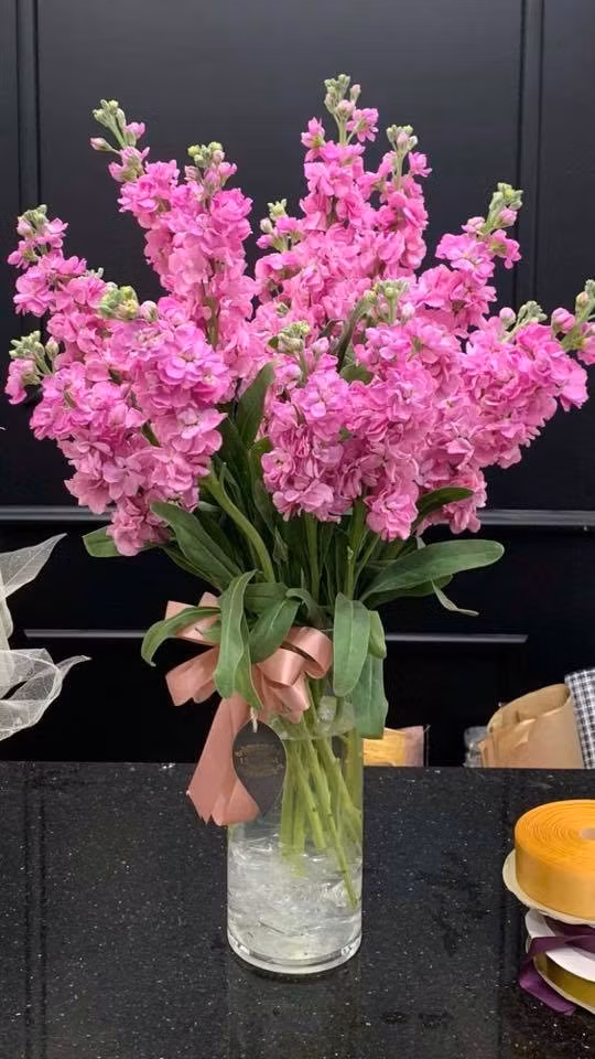 Phi yến là loại hoa cuống dài, thanh mảnh, phơn phớt hồng, tím, vàng hoặc trắng. Ảnh: Fb Phung Minh Hien.