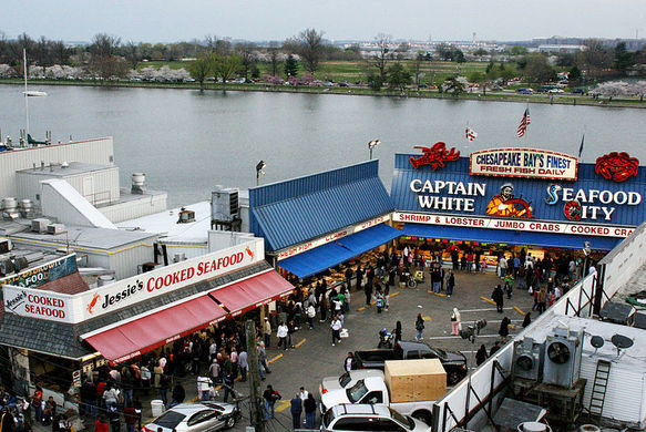 Xuất hiện từ thế kỷ 19, dây cũng là khu chợ hải sản ngoài trời bán lẻ lâu đời nhất nước Mỹ. Ảnh: Atlas Obscura.