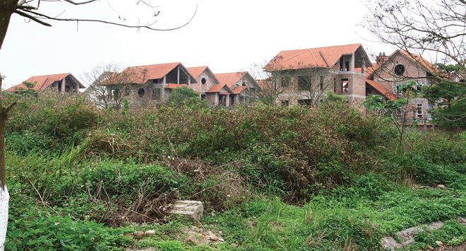Không có người ở nên cây dại mọc um tùm xung quanh biệt thự. Ảnh: Báo đầu tư Bất động sản.