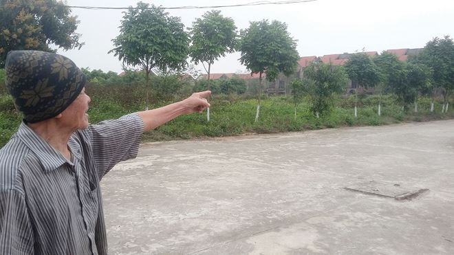 Mặc dù đã đưa vào sử dụng song bên trong khu chung cư, biệt thự Quang Minh là hàng trăm căn biệt thự, liền kề bỏ hoang nhiều năm nay. Ảnh: Báo đầu tư Bất động sản.