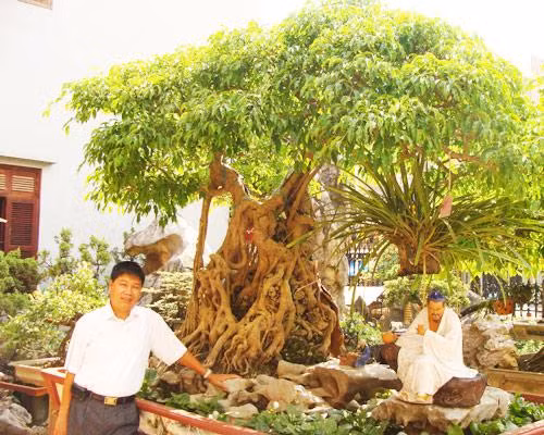 Nhìn vào bộ sưu tập cây cảnh của anh Toàn nhiều người không khỏi trầm trồ, ngưỡng mộ bởi đó là cả một quá trình dày công tìm kiếm. Ảnh: Baophutho.