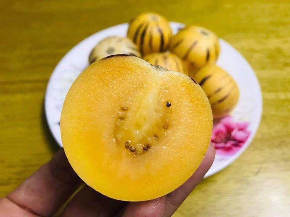 Một điểm dễ phân biệt nữa là dưa pepino Đà Lạt có giá bán từ 80.000 - 100.000 đồng/kg, đắt gấp đôi loại dưa của Trung Quốc. Ảnh: FB Xuyên Lê.