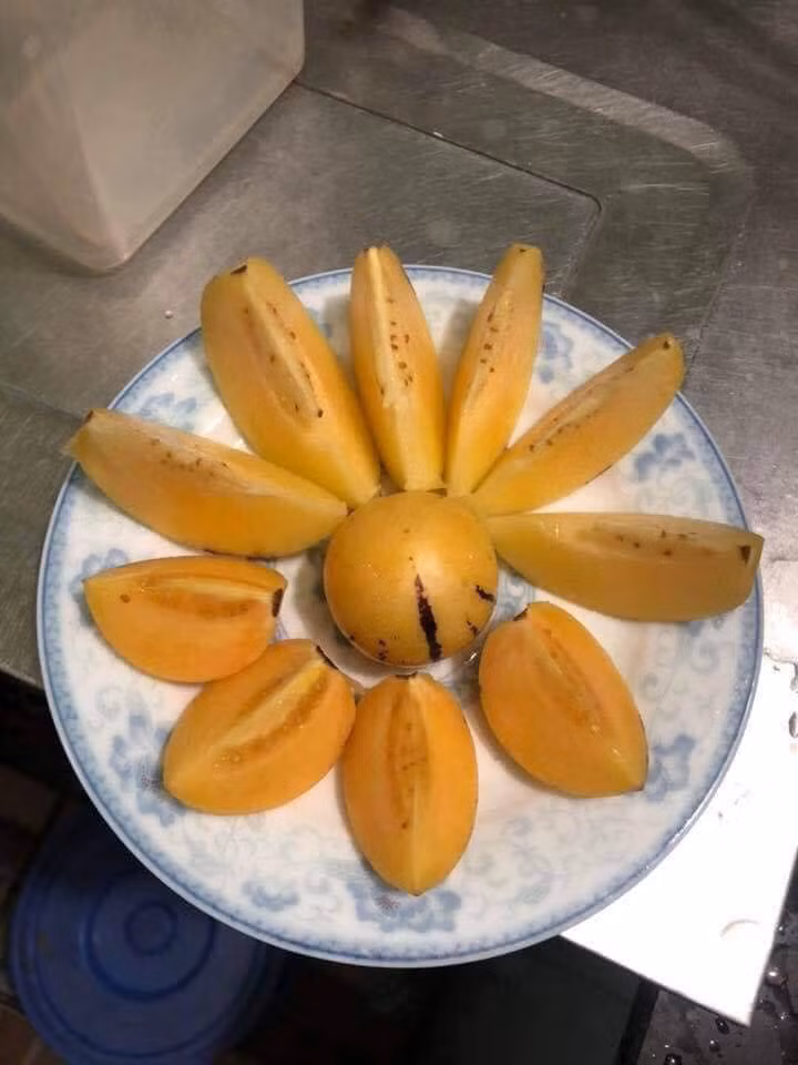 Khi bóc bỏ vỏ mỏng, phần thịt bên trong màu vàng ươm, đặc ruột, ăn ngọt. Ảnh: FB Hoàng Bảo An.