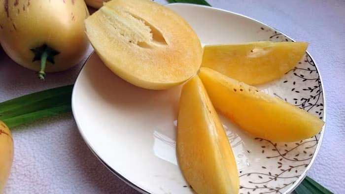 Một số người từng thưởng thức cho biết dưa pepino Đà Lạt có mùi vị khá nhạt. Khi ăn giống như dưa hấu thường nhưng không ngọt đậm đà nhưng khá nhiều nước và mát. Ảnh: Kokotaru.