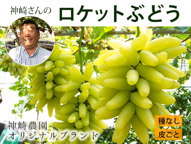 Nho ngón tay vàng Nhật Bản được lai tạo từ một giống nho châu Âu vào năm 1982. Ảnh: Takaiya.