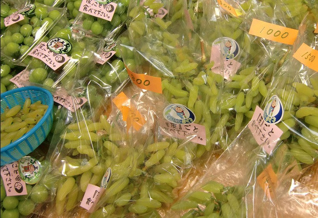 Mùa thu hoạch nho ngón tay vàng ở Nhật Bản bắt đầu từ cuối tháng 8. Ảnh: Okayamagurashi.