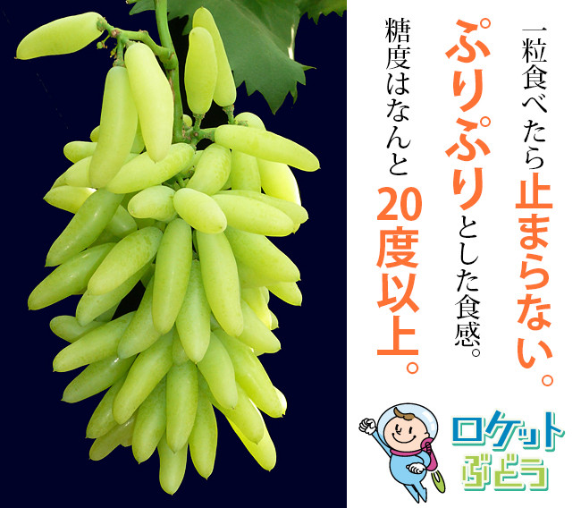 Quả nho có hình dáng thuôn dài, vò màu vàng chanh. Ảnh: Takaiya.