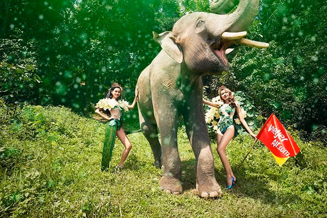 Hoa Súng trắng ẩn mình trong Khu Bảo tồn Voi Chiangmai (Thái Lan).