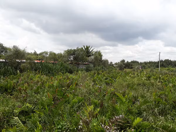 Trong danh sách 180 dự án bị hủy bỏ, có mặt nhiều dự án có quy mô lớn từ hàng chục hecta. Đáng chú ý là dự án khu nhà ở 158,64 ha (phường Long Trường, quận 9) do Công ty Cổ phần Sài Gòn Gôn làm chủ đầu tư. Đây là khu dân cư nhà vườn, du lịch sinh thái, thương mại – dịch vụ và nhà ở với mật độ xây dựng thấp. Ảnh: CAND.