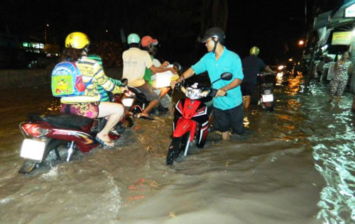 Dự án hồ điều tiết Gò Dưa rộng 17,2 ha tại phường Tam Phú (Thủ Đức) của Trung tâm Điều hành Chương trình chống ngập nước thành phố cũng nằm trong diện bị thu hồi. Ảnh minh họa: Hanoimoi.