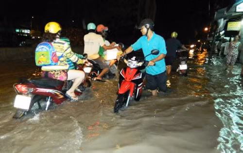 Dự án hồ điều tiết Gò Dưa rộng 17,2 ha tại phường Tam Phú (Thủ Đức) của Trung tâm Điều hành Chương trình chống ngập nước thành phố cũng nằm trong diện bị thu hồi. Ảnh minh họa: Hanoimoi.