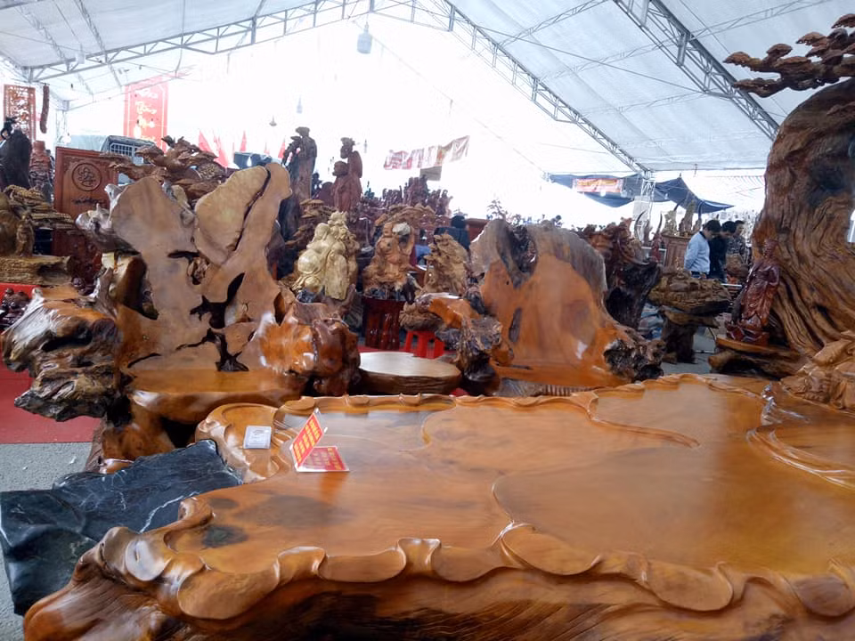 Bộ bàn ghế được chế tác từ những gốc lũa siêu khủng, chạm khắc tinh xảo. Ảnh: Vietq.