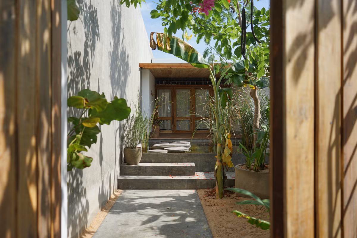 Khu vườn nhỏ phía sau nhà.