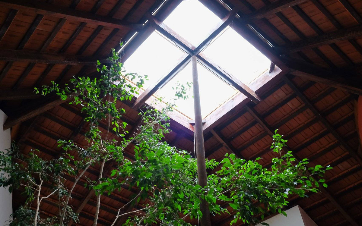 Giếng trời cũng là một điểm nhấn trong thiết kế nhà.