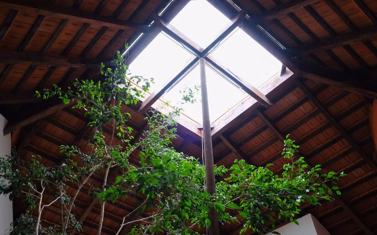 Giếng trời cũng là một điểm nhấn trong thiết kế nhà.