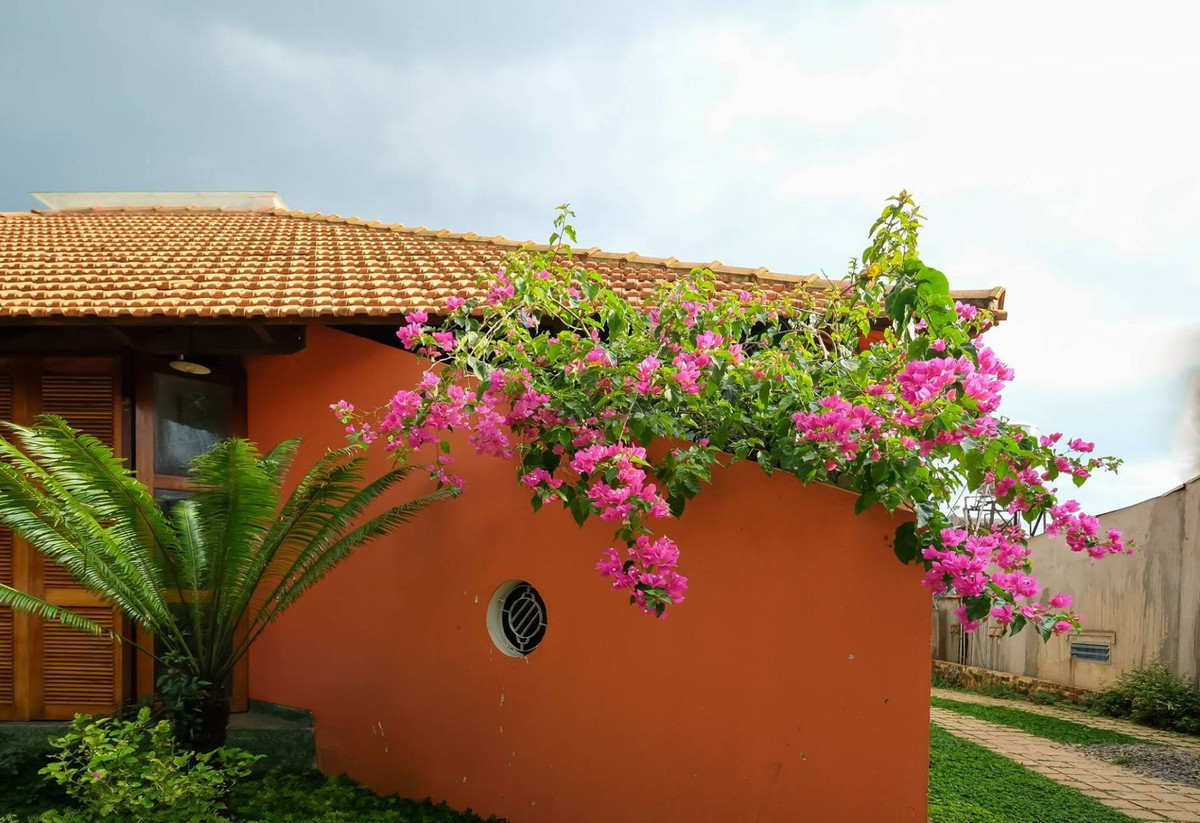 Bức tường màu cam mới lạ và độc đáo.