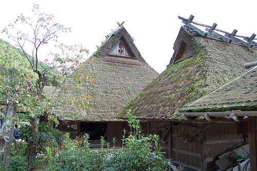 Mái tranh lợp nhà dày vài chục cm giúp ngôi nhà mát trong mùa hè và ấm áp trong mùa đông. Ảnh: Green tour Kyoto.