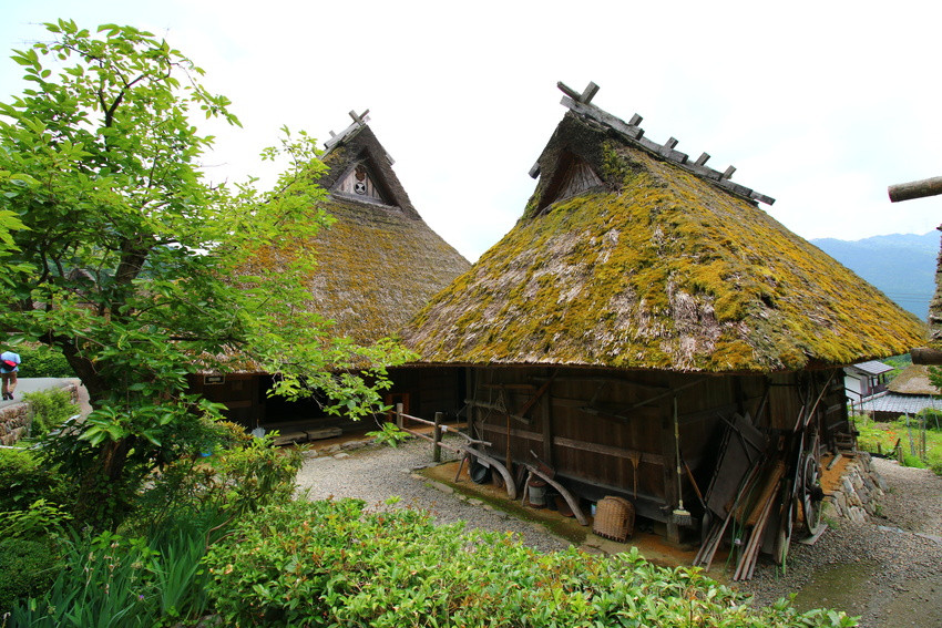 Phần lớn các căn hộ trong làng đều là nhà mái tranh, mang đến cảm giác thanh bình. Ảnh: Japanhoppers.
