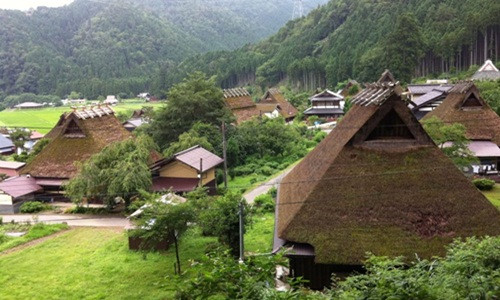 Được biết, cỏ tranh lợp mái là cỏ được trồng ở vùng Yamamura. Ảnh: Innovationfactory.