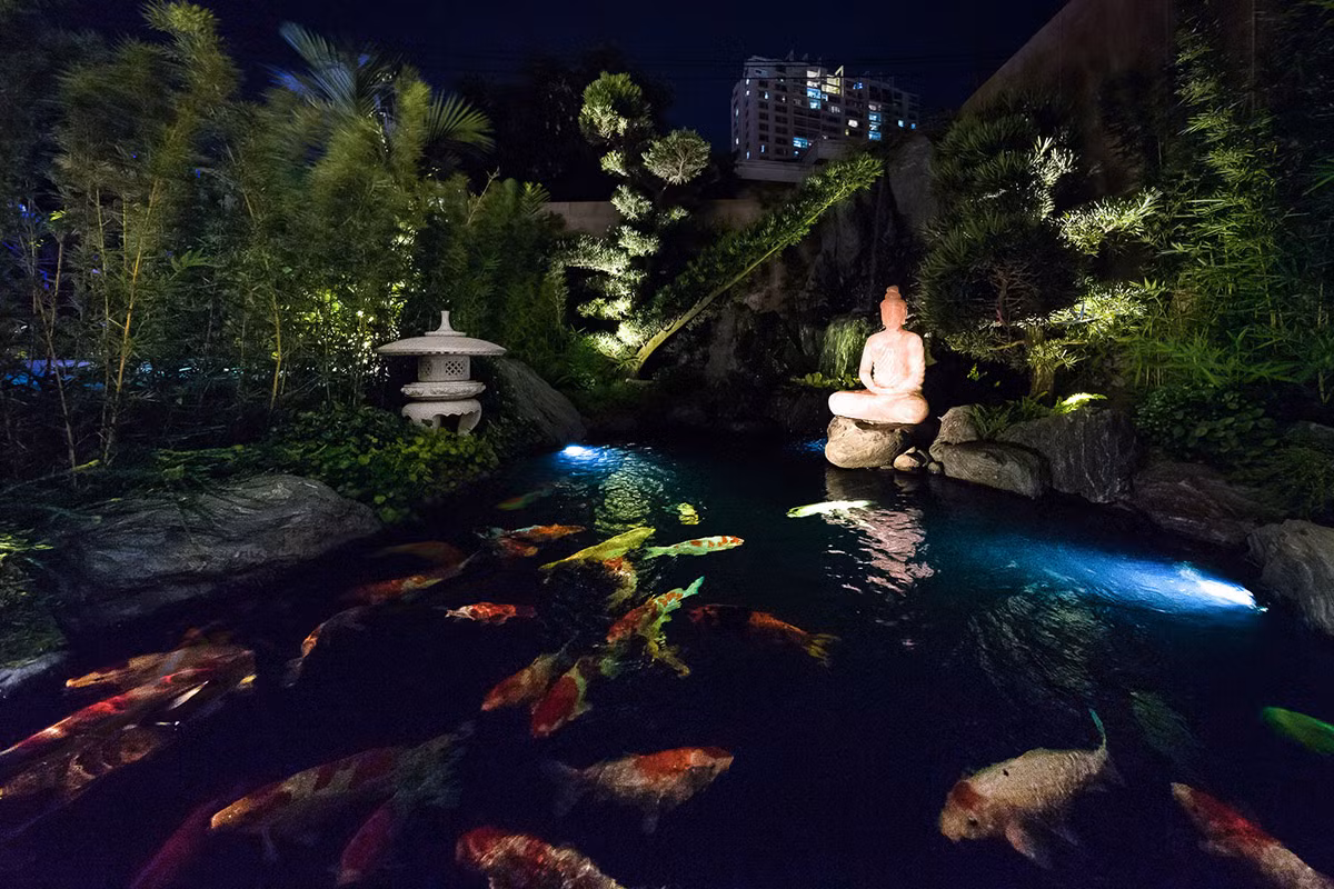 Trong sân vườn biệt thự còn có một hồ cá Koi tuyệt đẹp. Nguồn ảnh: QBI studio/Handhome.