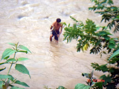 Phong trào săn cá lăng ở miền tây tỉnh Nghệ An cũng từng phát triển mạnh. Nhiều người bỏ cả ruộng nương lao vào cơn sốt cá lăng. Ảnh: Cadn.