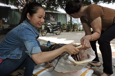 Với trọng lượng gần 1 tạ, cá lăng được thương lái thu mua với giá trên 30 triệu đồng, tức khoảng 1 triệu đồng/1kg. Ảnh: VOV.