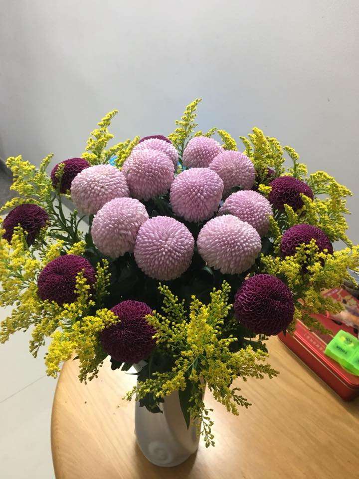 Hoa cúc Ping-pong tượng trưng cho sự may mắn, tròn đầy. Ảnh: Đà Lạt Hasfarm.