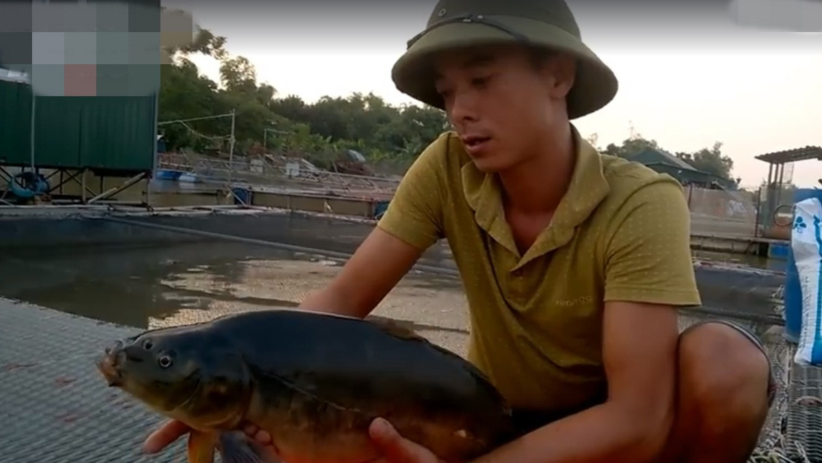 “Ca chep ma” ky di o Hai Duong dat do nhu the nao?