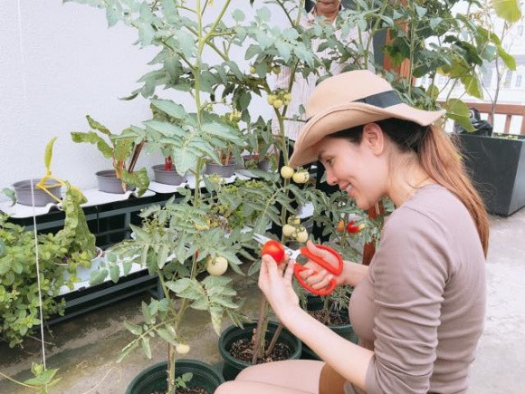 Biệt thự rộng 1.200 m2 tọa lạc tại quận 2 (TP HCM) được Hoa hậu Phương Lê trồng các loại rau quả, cho thu hoạch quanh năm. Ảnh: Nld.