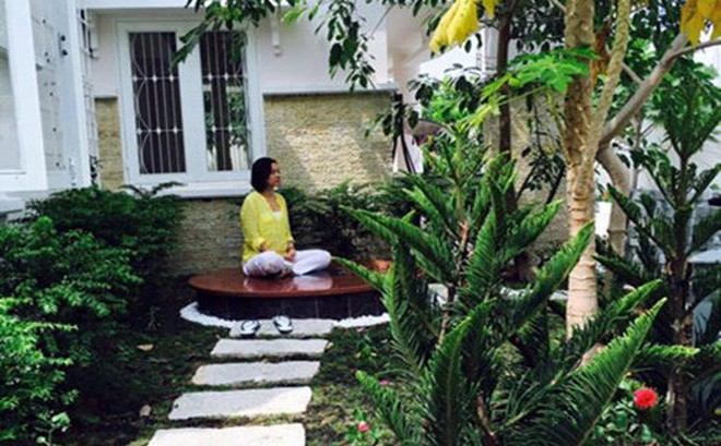 Cành vạn tuế trong góc thiền tĩnh tâm của Việt Trinh. Ảnh: Người đưa tin.